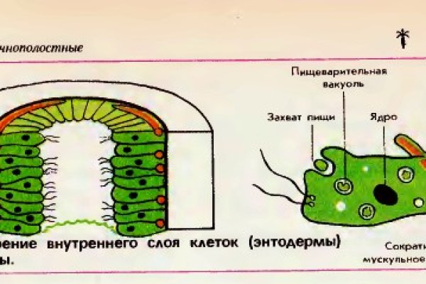 Кракен соль