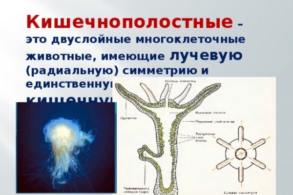 Кракен маркетплейс отзывы